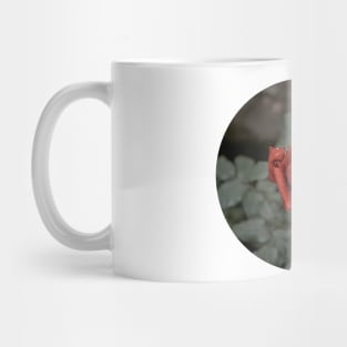 Red rose with drops Mug